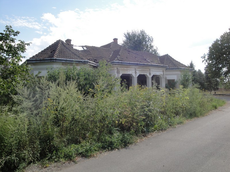 Pettyén02