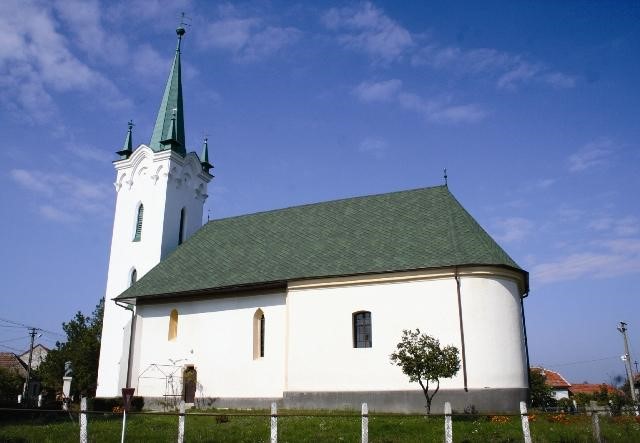 Szarazberek01